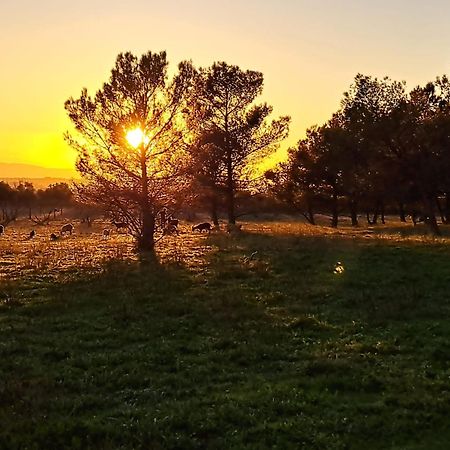 Domaine De La Matte Bed and Breakfast Conques-sur-Orbiel Εξωτερικό φωτογραφία