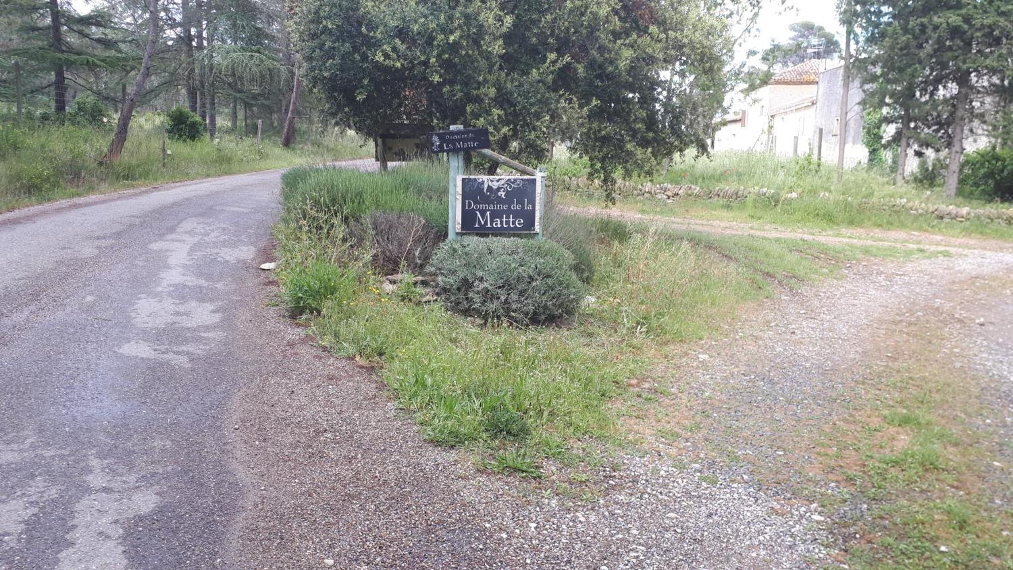 Domaine De La Matte Bed and Breakfast Conques-sur-Orbiel Εξωτερικό φωτογραφία